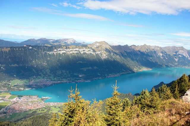 【瑞士必去景點】徐尼格觀景台SchynigePlatte，絕美景致一覽無遺！