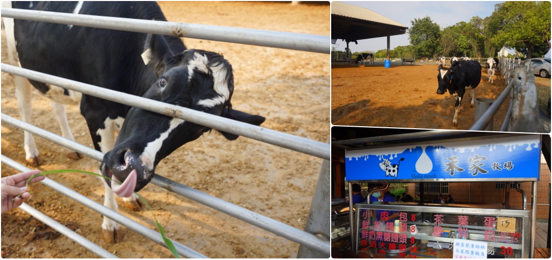 網站近期文章：銀行山禾家牧場-親子共遊的鮮奶美食與可愛荷蘭牛