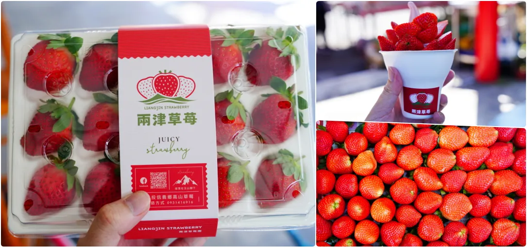 兩津草莓園｜草坪頭園區唯一草莓園，來買草莓和吃草莓冰淇淋喔！