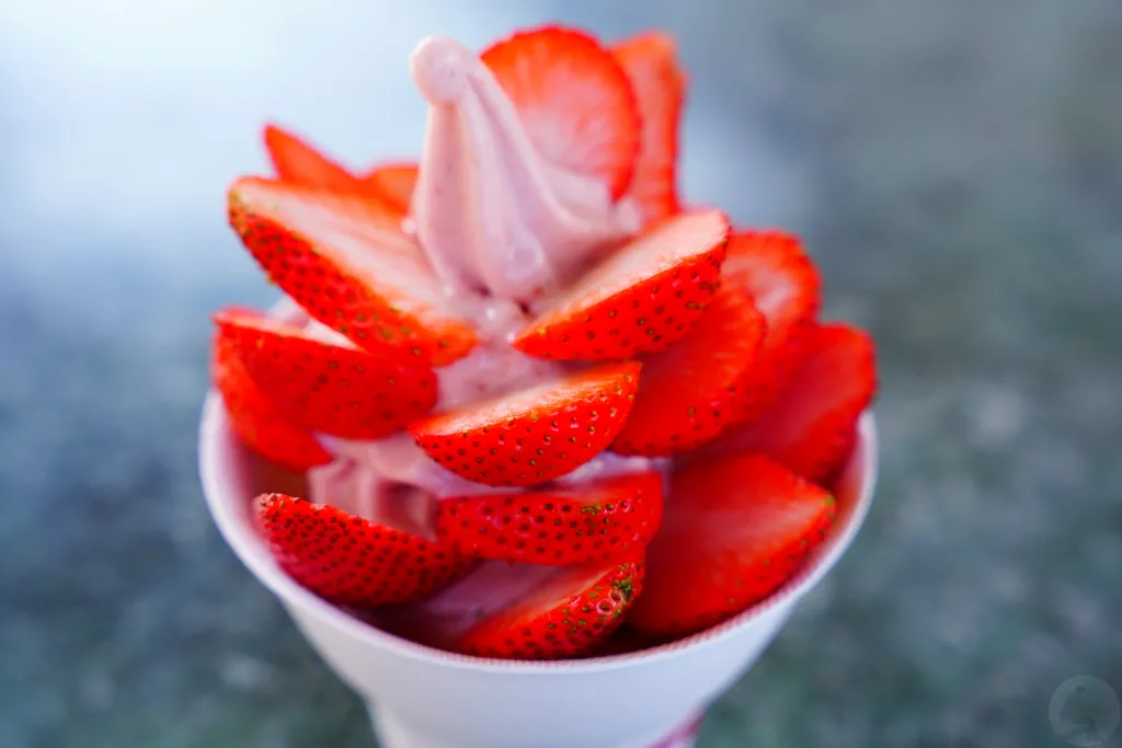兩津草莓園,草坪頭-兩津草莓園,草坪頭草莓,草坪頭摘草莓,草坪頭採草莓,草莓冰淇淋