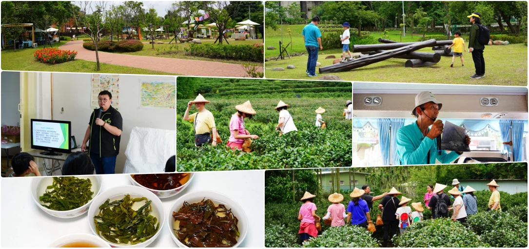 延伸閱讀：細品三峽茶韻，感受茶文化的薰陶：2024新北藍茶藝術季在客家文化園區的品茗、採茶、揉茶、傳承文化的體驗之旅